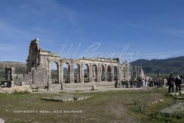 Image du Maroc Professionnelle de  L'après-midi, le soleil brille sur les arches de la basilique, le principal bâtiment administratif de l'ancienne ville romaine de Volubilis l'un des sites les mieux préservés au Maroc et le plus visité. La cité romaine se situe à proximité de Moulay Idriss Zerhoun à une trentaine de km au nord-ouest de Meknès, photo prise le jeudi 8 Mars 2012. Volubilis ville antique berbère Walili (Lauriers rose) qui date du 3e siècle avant J.-C. capitale du royaume de Maurétanie fondé comme seconde capital sous le règne de Juba II. (Photo / Abdeljalil Bounhar)
 